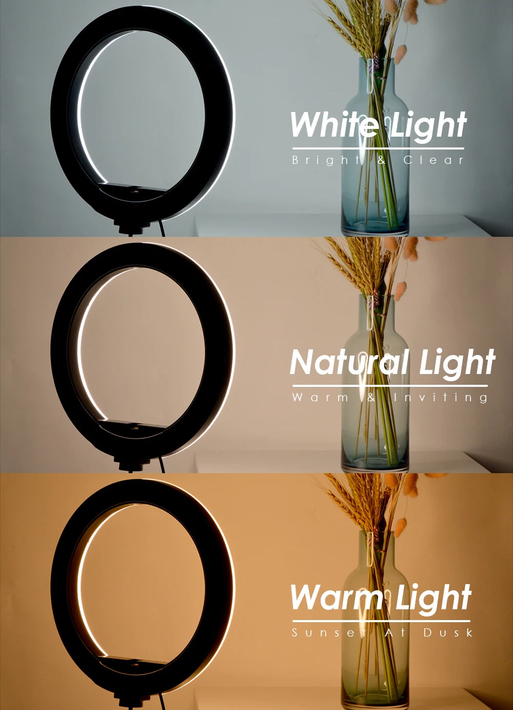 Tripé com Luz de Anel LED para Câmera e Smartphone - Iluminação Perfeita para Suas Fotos e Vídeos